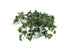 Artificial 25cm Variegated Ivy Plug Plant